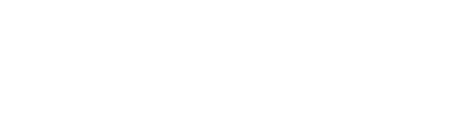 Ericssony Store